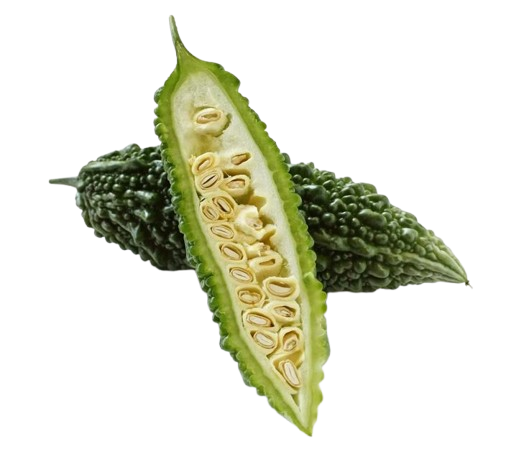Bitter Gourd<br />

