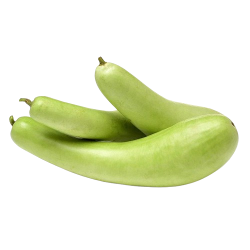 Bottle Gourd