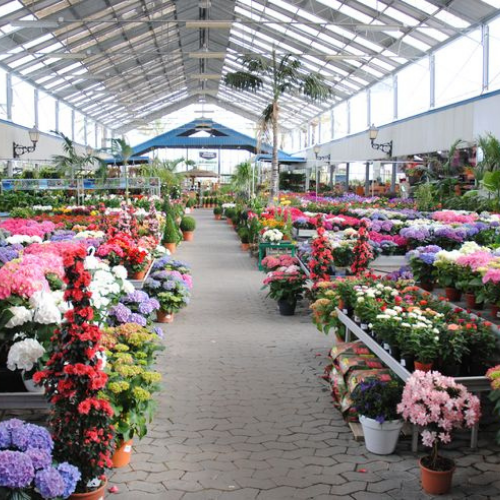 Flower Plant Nursery<br />
