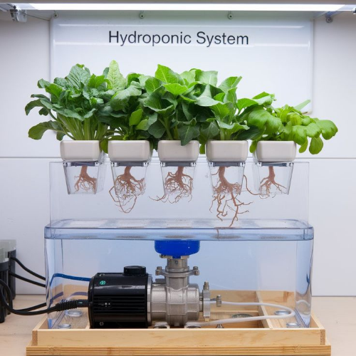 Hydroponics Solution<br />
