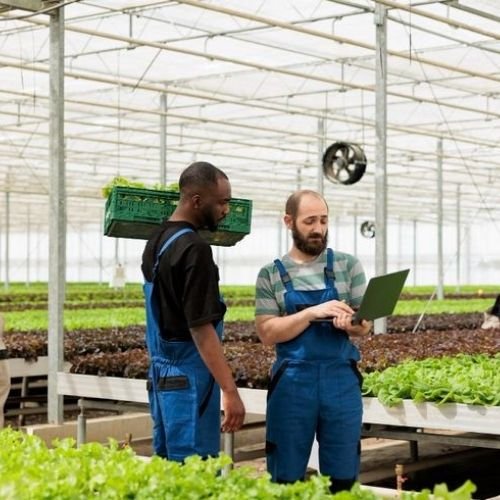 Crop Consultation<br />
